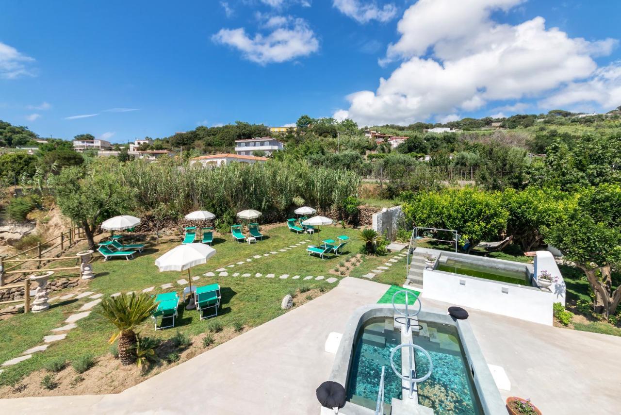 Hotel Grazia Alla Scannella Forio di Ischia Εξωτερικό φωτογραφία